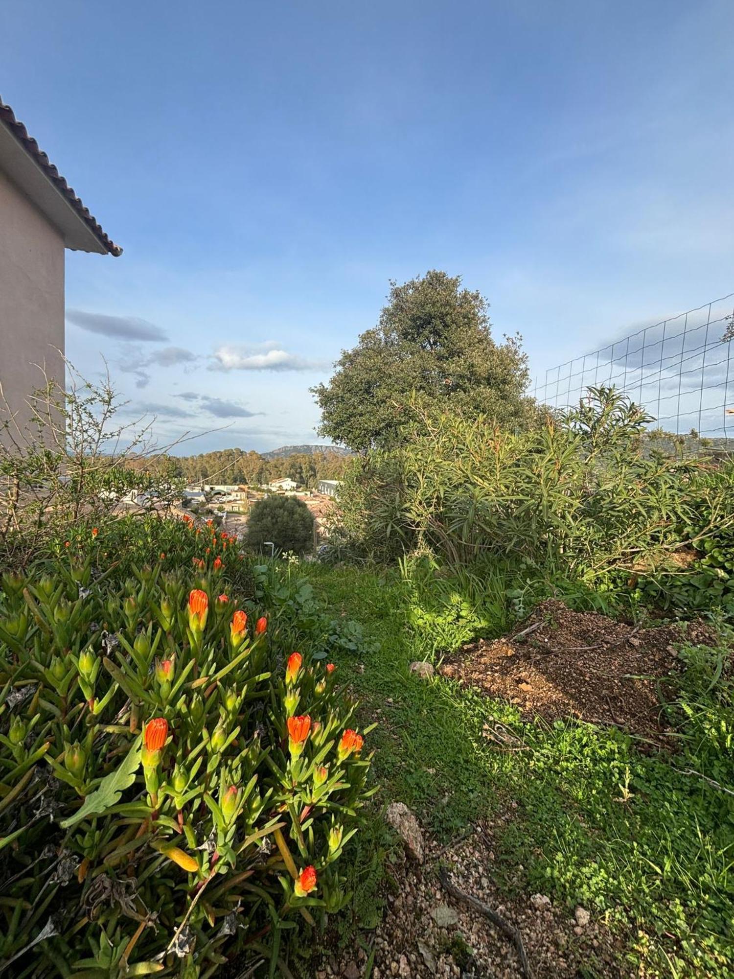Isula Petra Villa Porto-Vecchio  Eksteriør billede